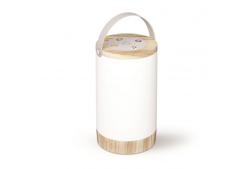 LED Portable Desk Lamp RGB with Push Button, Natural style